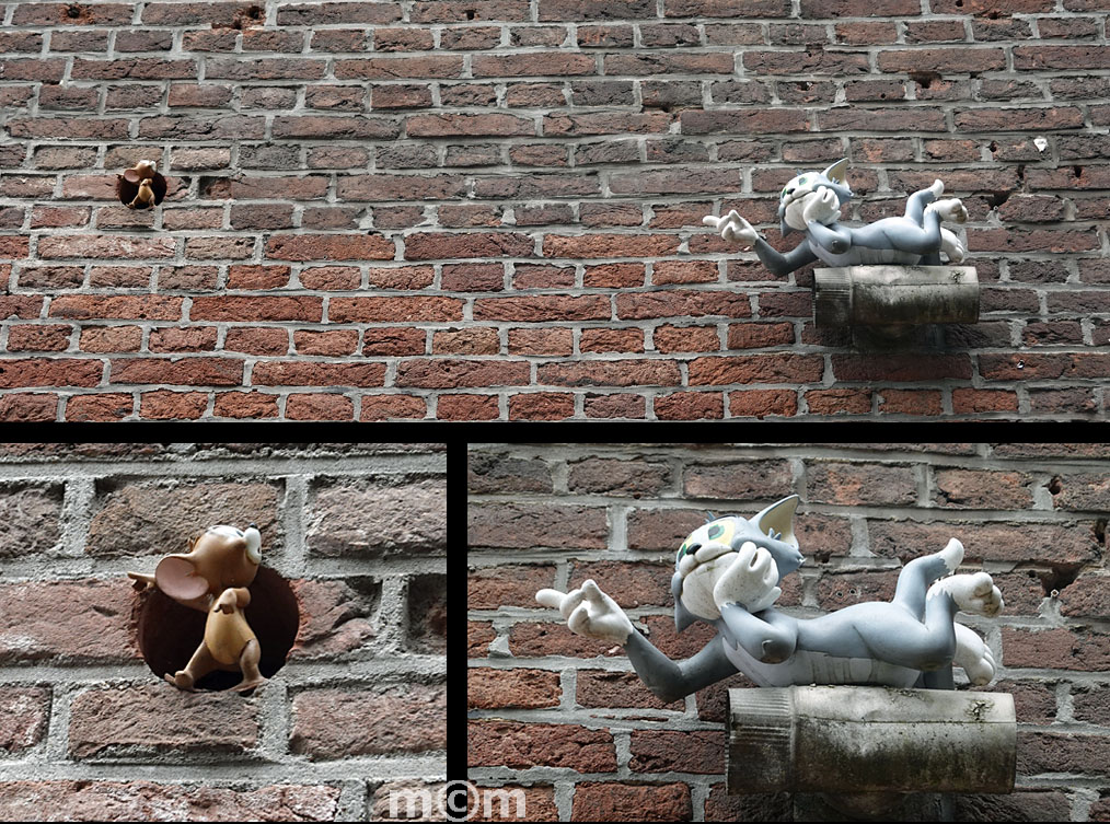 cat and mouse against wall Amsterdam