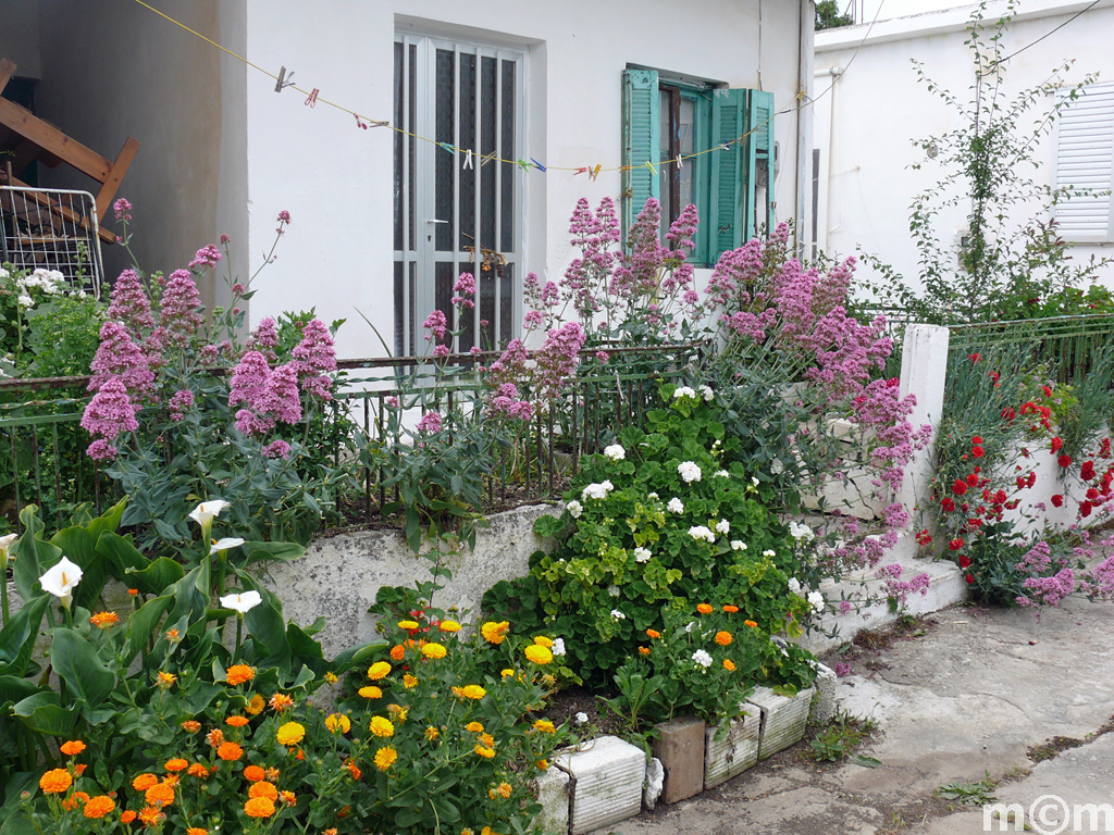 Crete Lassithi, Exo Apidi