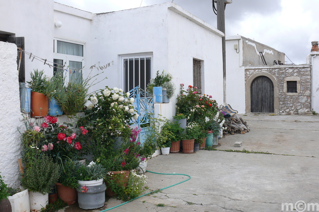 Crete Lassithi, Mesa  Apidi