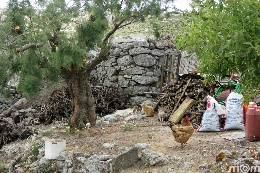 Crete Lassithi, Mesa  Apidi