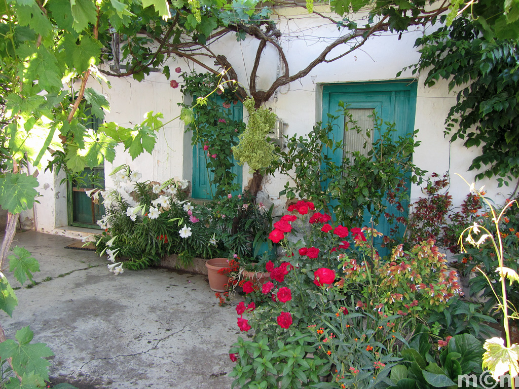 Crete Lassithi, Chochlakies