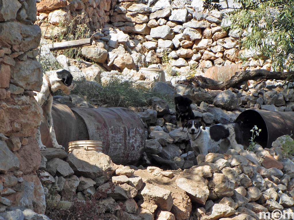 Crete Lassithi, Kamara 