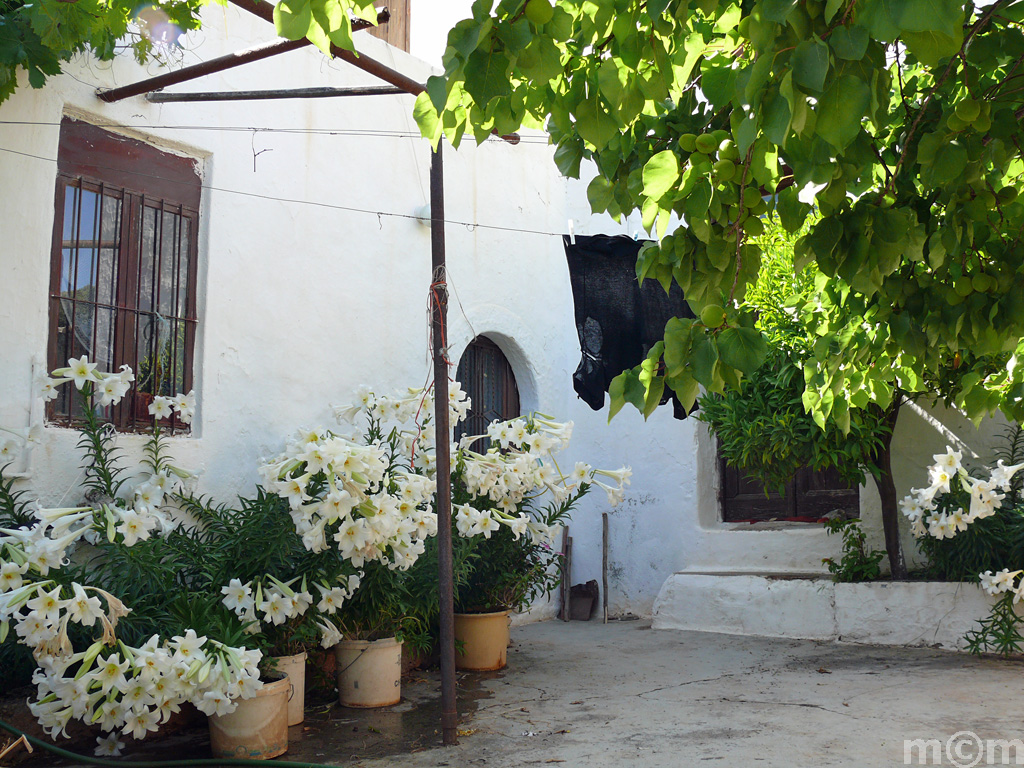 Crete Lassithi, Kamara 