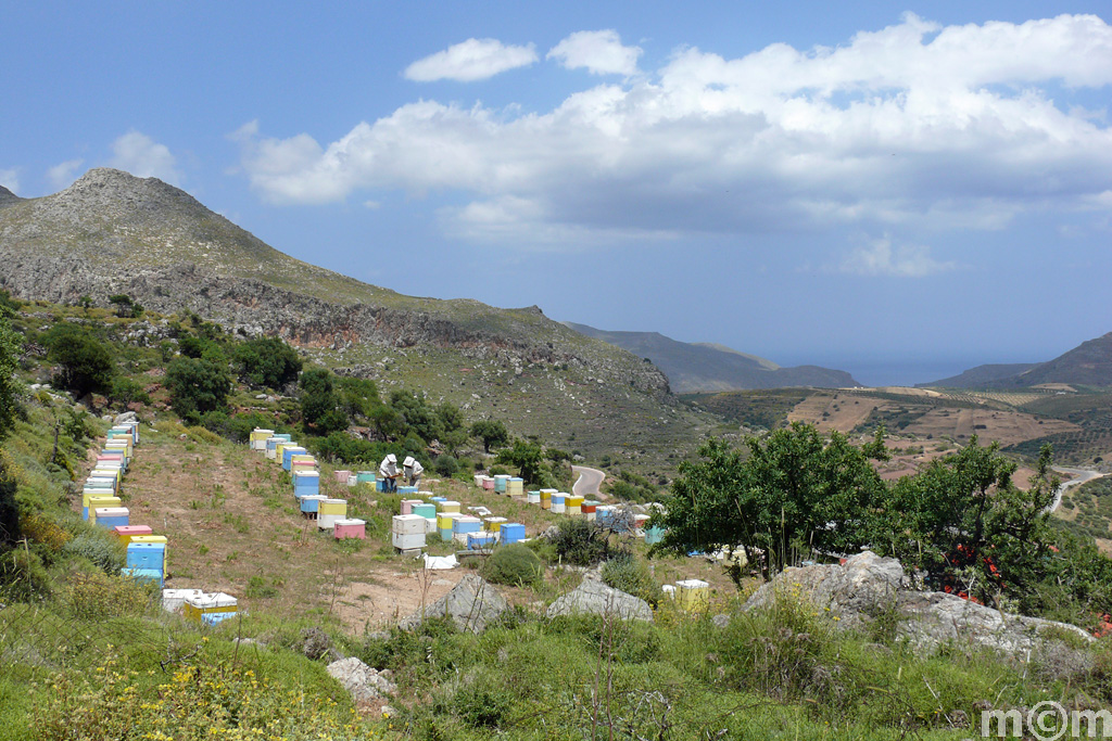 Crete Lassithi, Karydi 