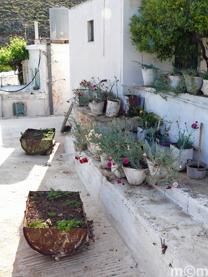 Crete Lassithi, Kellaria