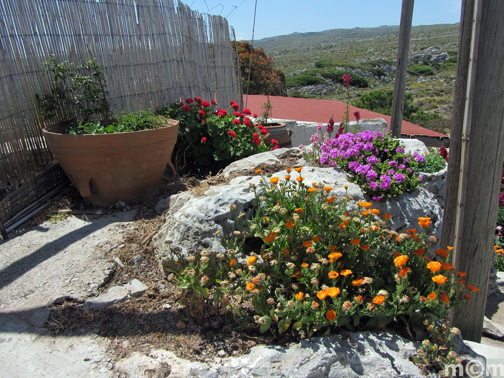 Crete Lassithi, Mitato