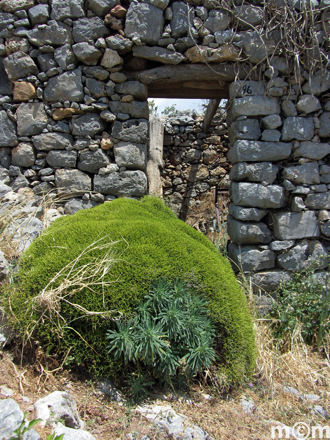 Crete Lassithi, Mitato