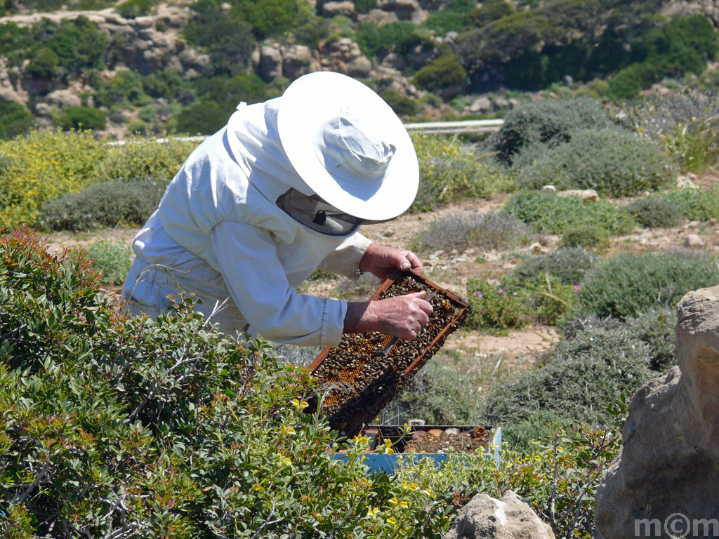 Crete Lassithi, Moni Toplou, Panagia Akrotiriani