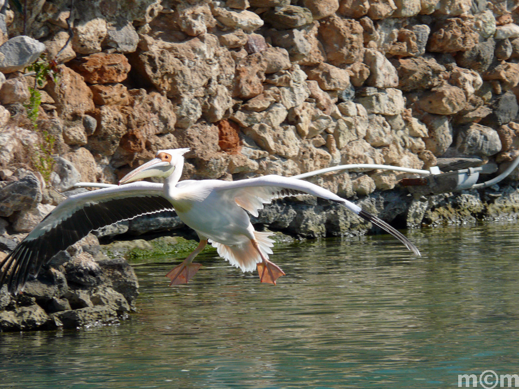 Crete Lassithi, Sitia 2011