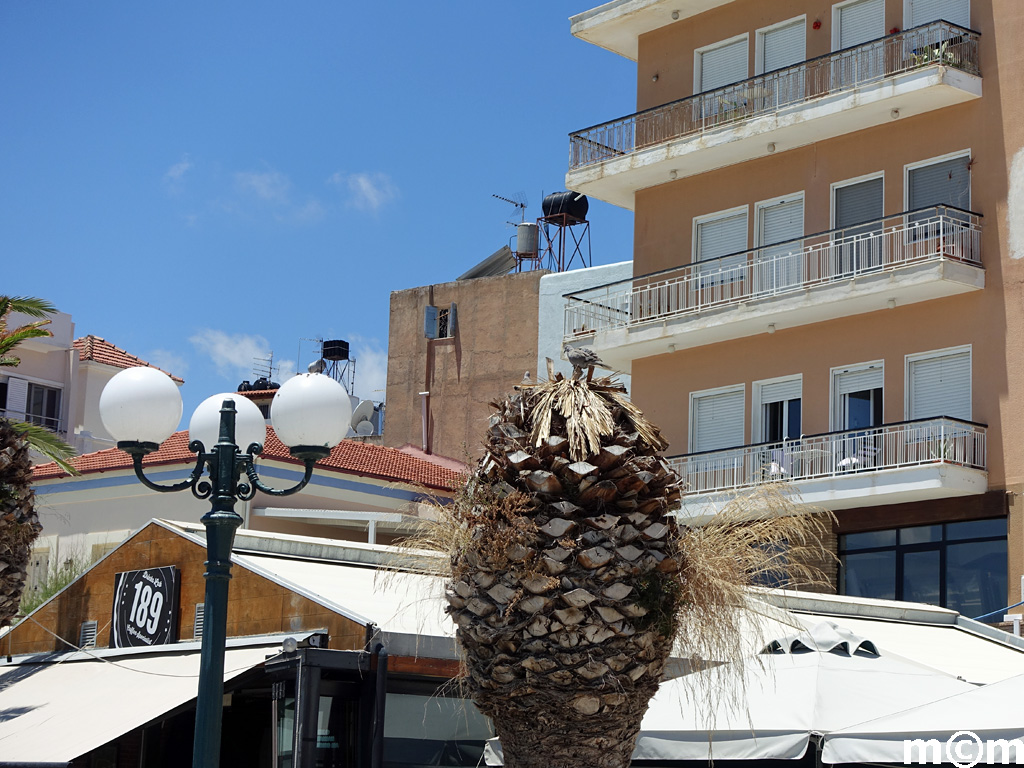 Crete Lassithi, Sitia 2017