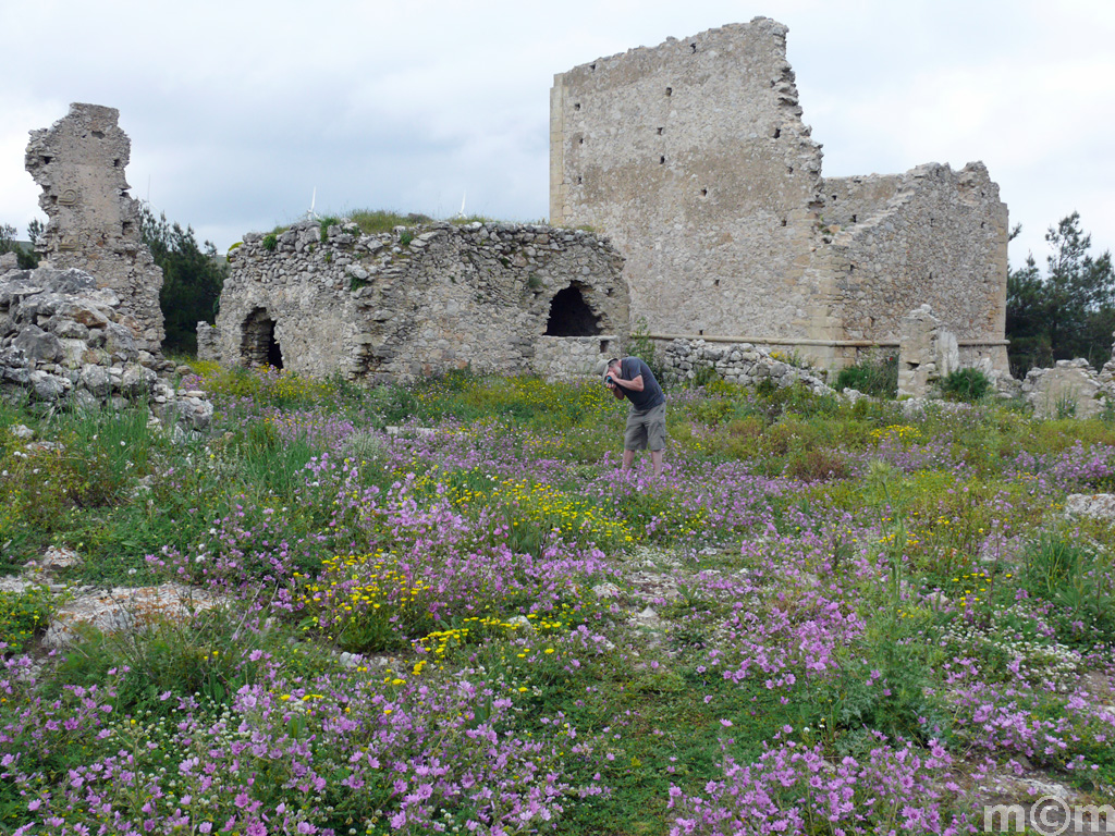 Crete Lassithi, Voila