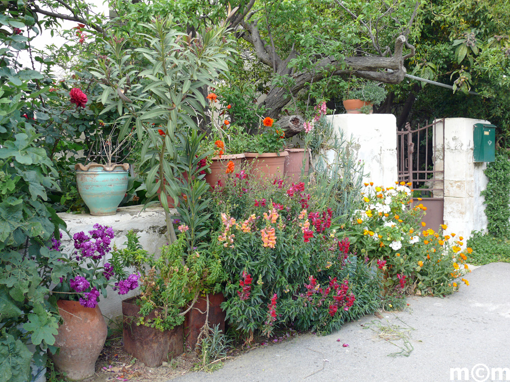 Crete Lassithi, Vori
