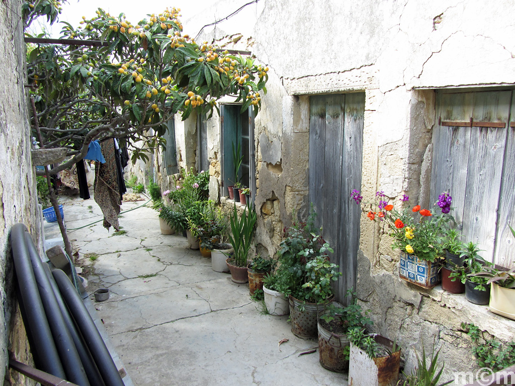 Crete Lassithi, Vori