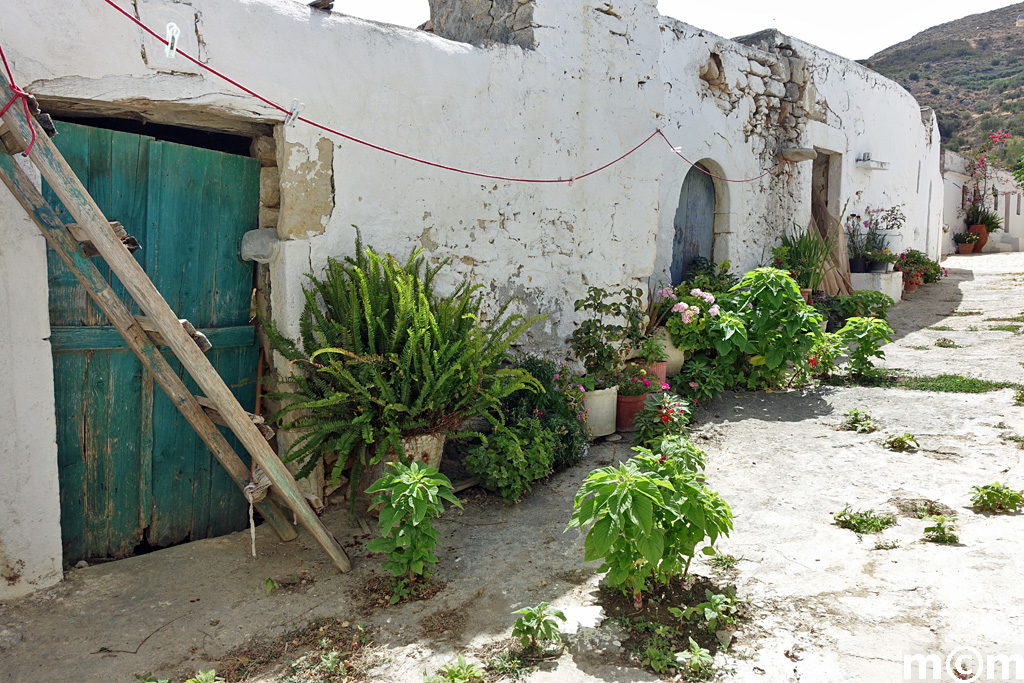 Crete Lassithi, Vori