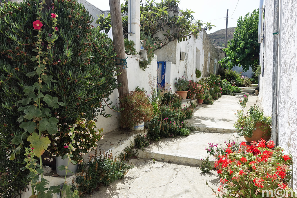 Crete Lassithi, Vori