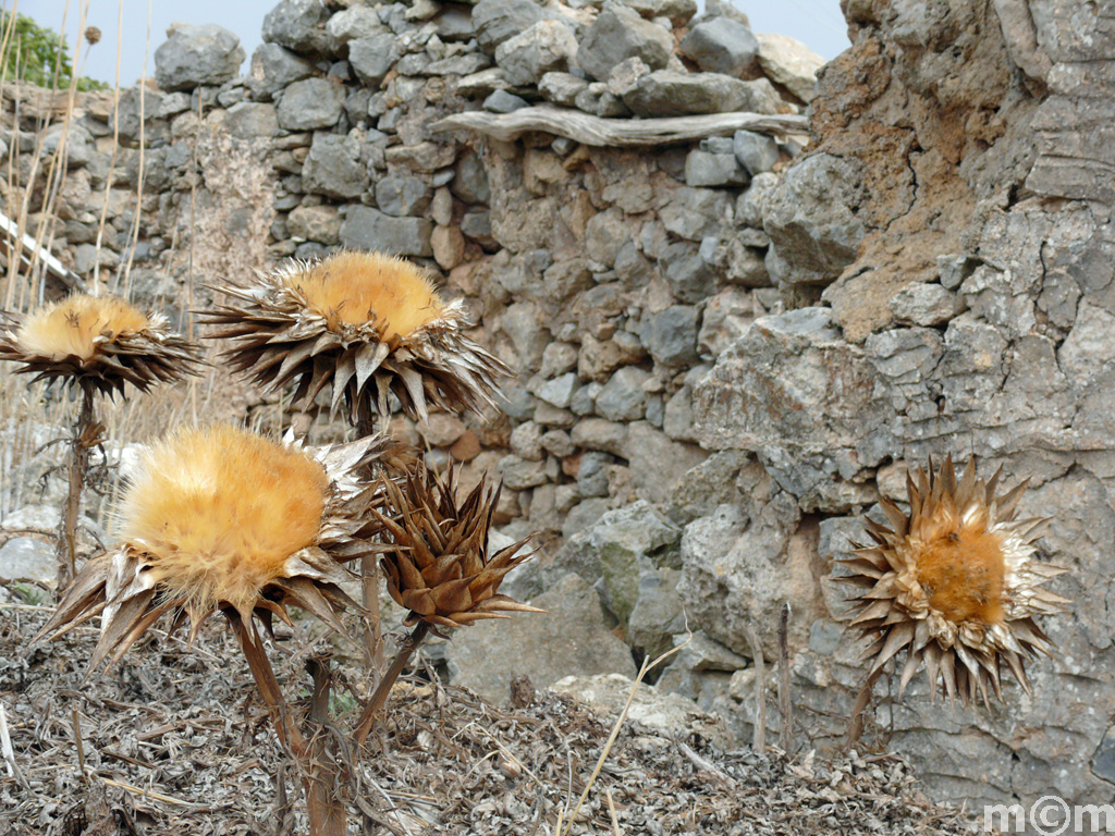 Crete Lassithi, Xirolimni