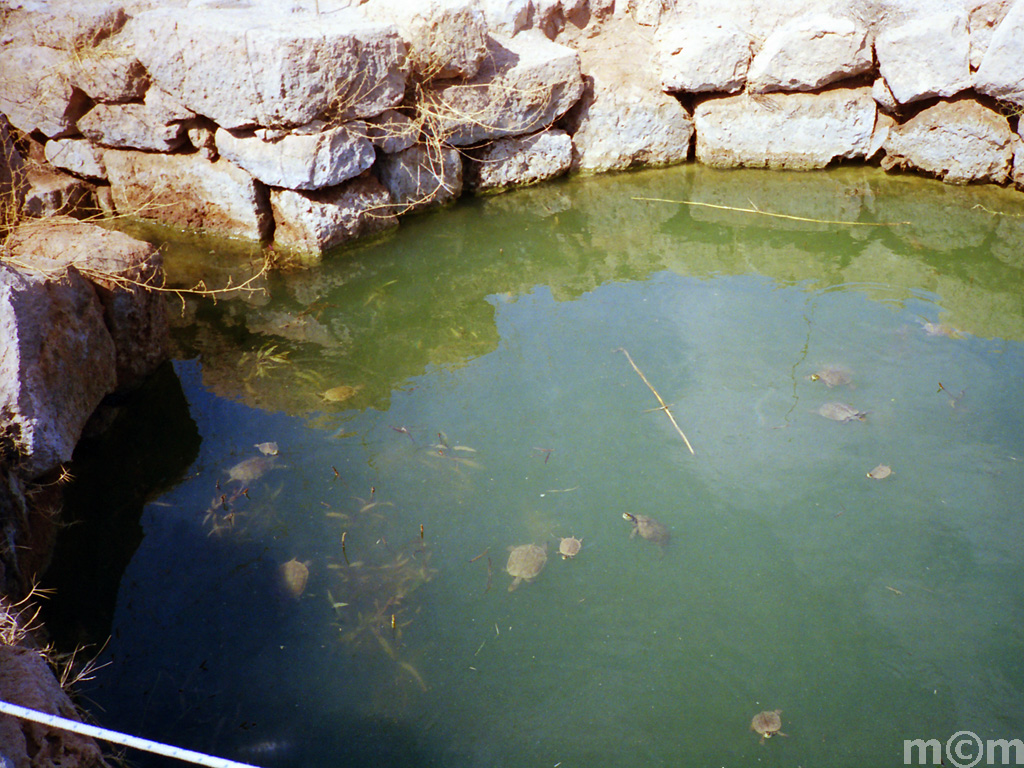 Crete Lassithi, Kato Zakros ancient ag