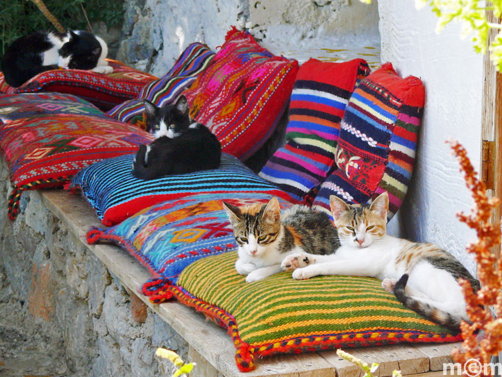 Crete Lassithi, Agios Ioannis