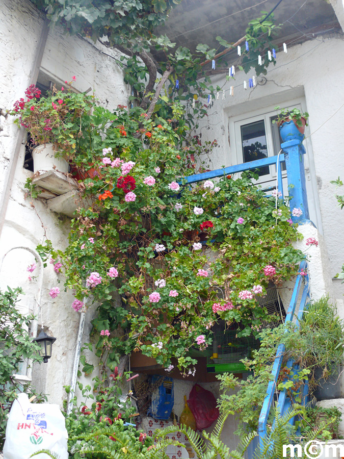 Crete Lassithi, Agios Stefanos