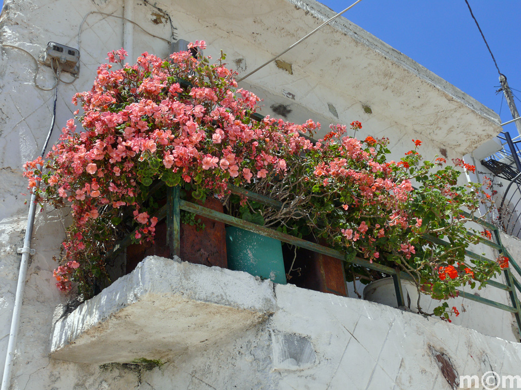Crete Lassithi, Agios Stefanos