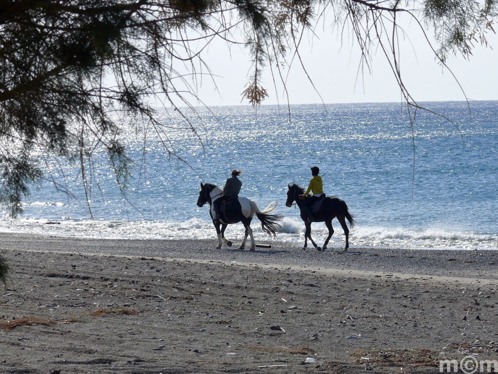 Crete Lassithi Ierapetra 2010