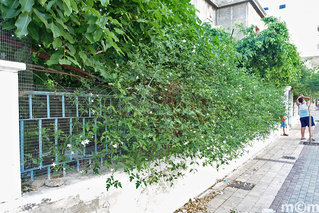 Crete Lassithi Ierapetra 