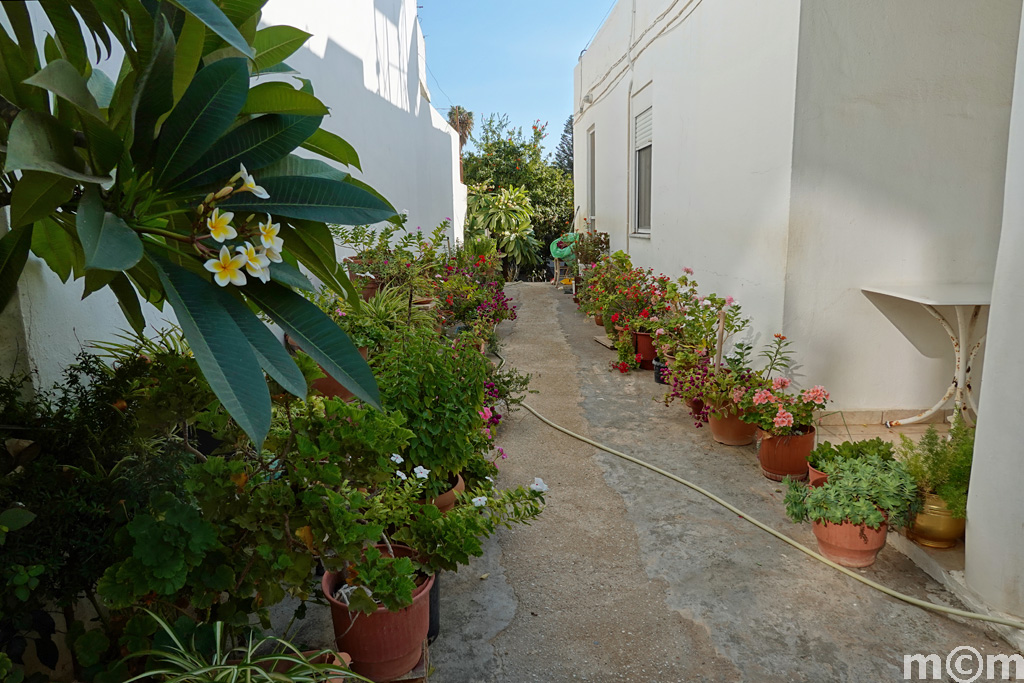 Crete Lassithi Ierapetra
