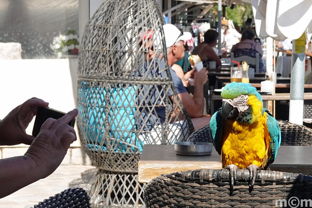 Crete Lassithi Ierapetra