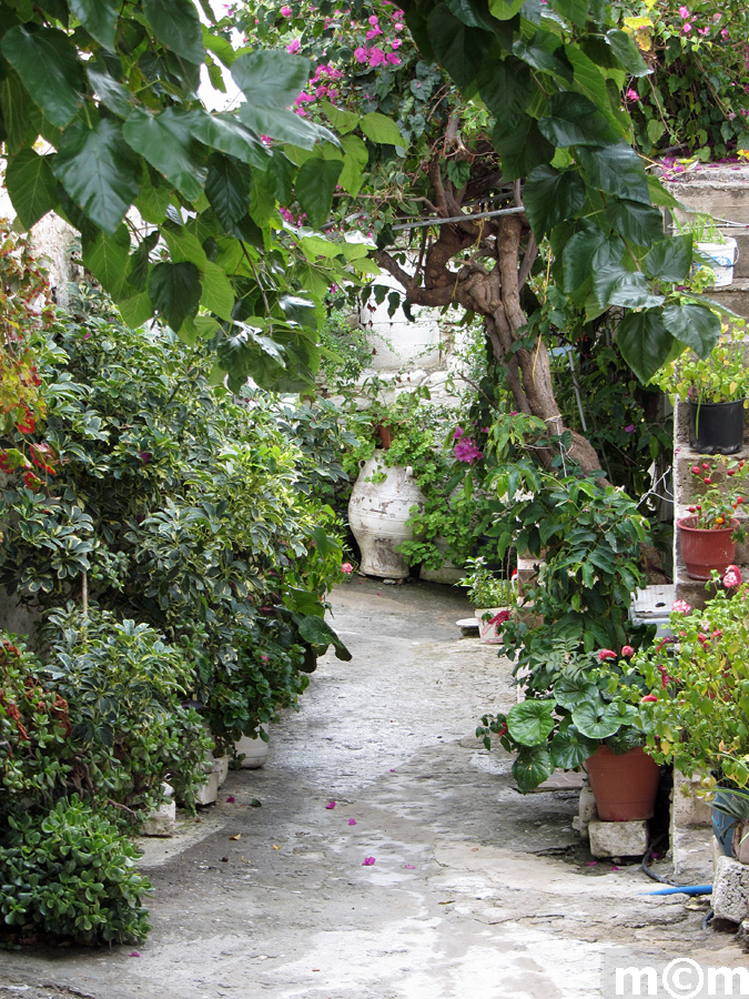 Crete Lassiti, Kavousi