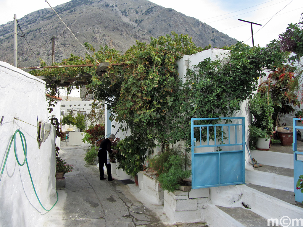 Crete Lassiti, Kavousi