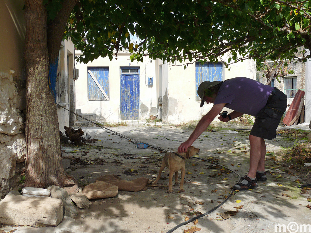 Crete Lassiti, Kavousi