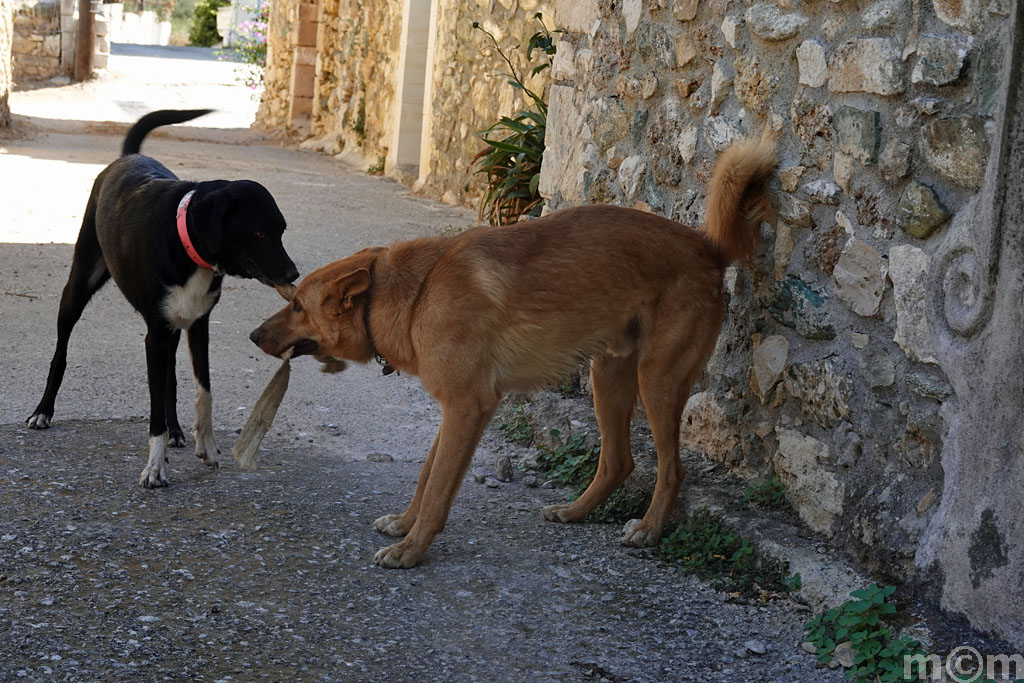 Crete Lassiti, Kimouriotis