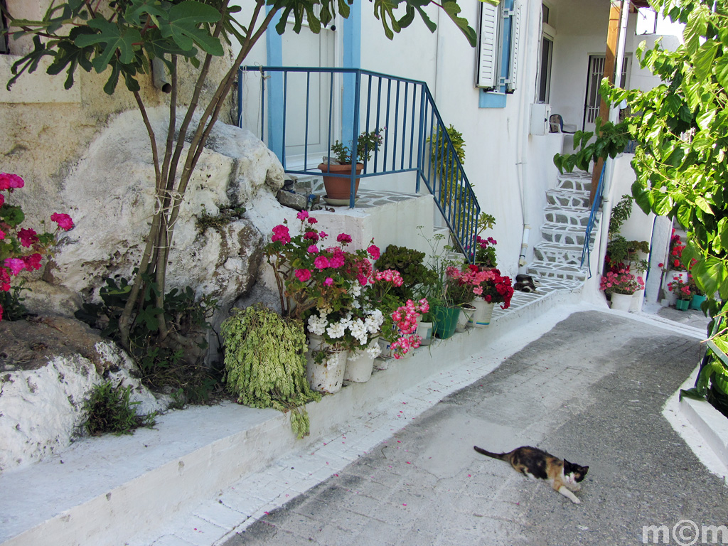 Crete Lassiti, Lastros