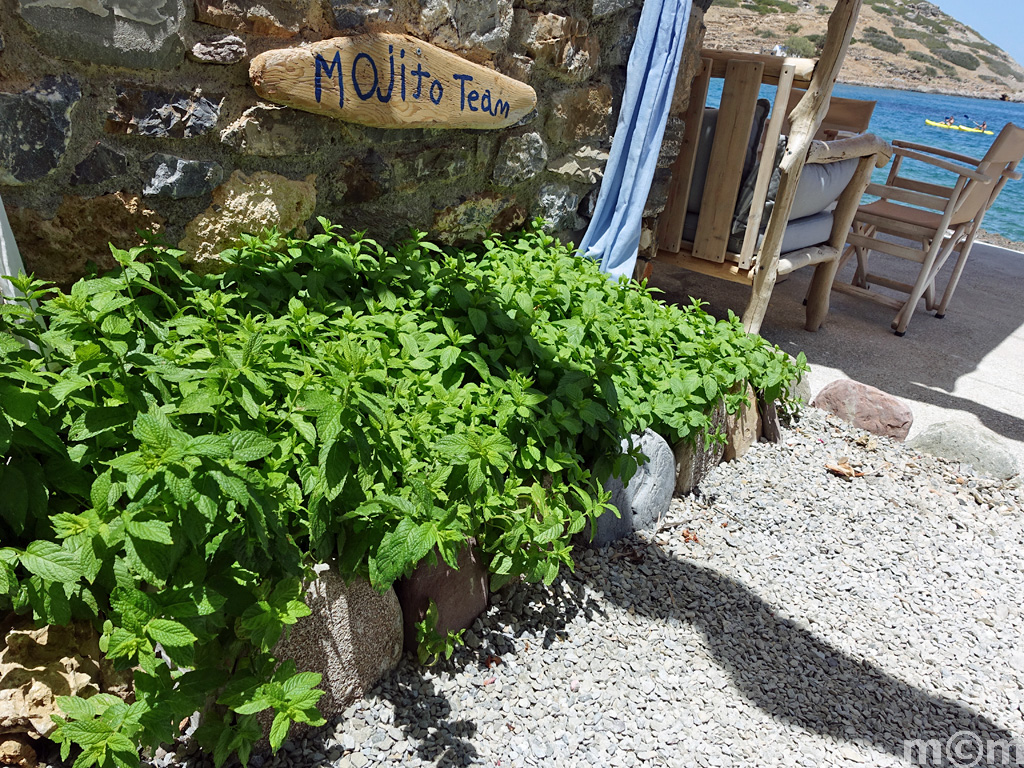 Crete Lassiti, Mochlos