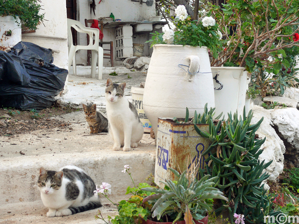 Crete Lassiti, Monastiraki