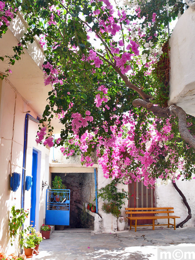 Crete Lassithi, Stavrohori
