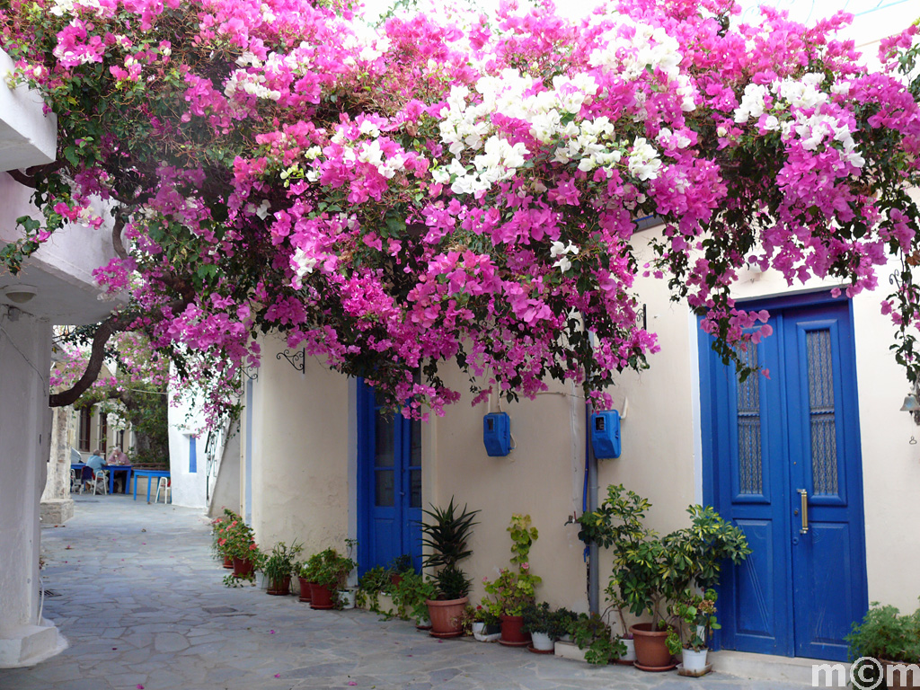 Crete Lassithi, Stavrohori