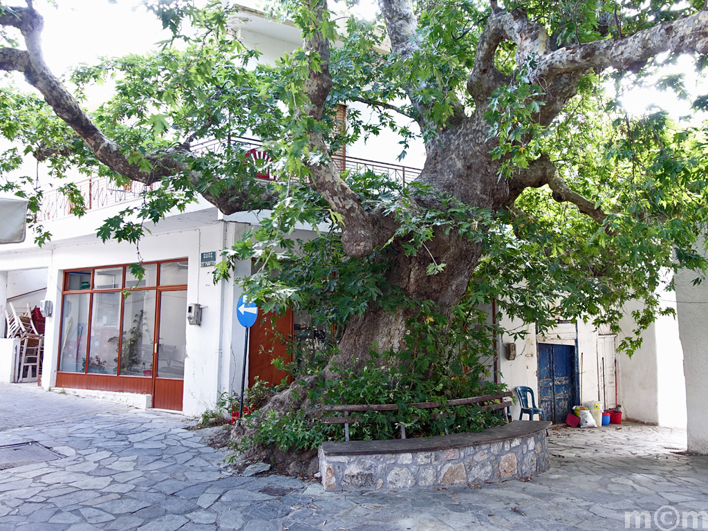 Crete Lassithi, Stavrohori 2017
