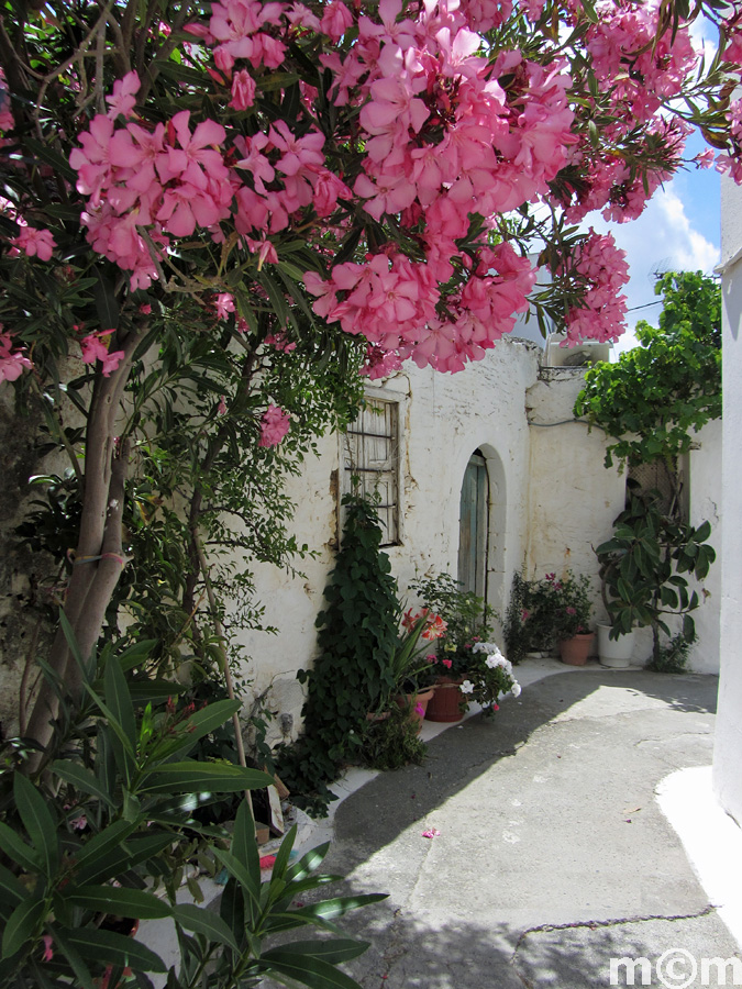 Crete Lassithi, Tourloti