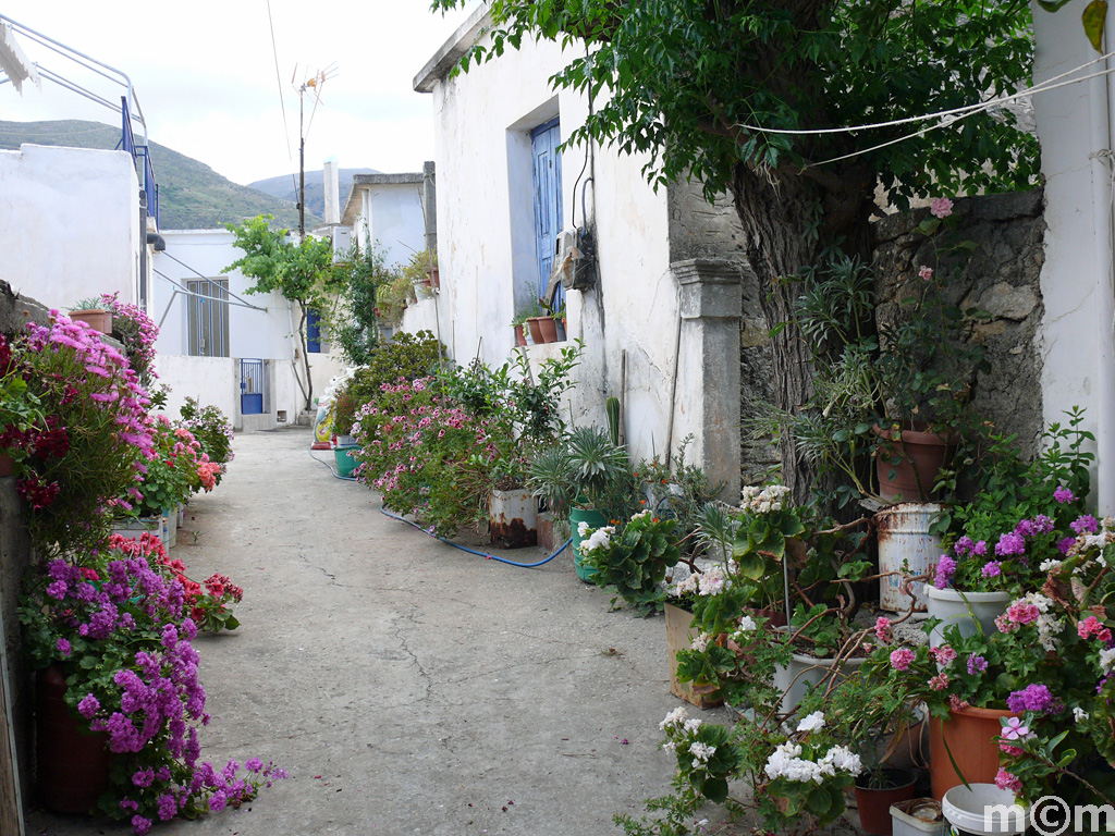 Crete Lassithi, Tourloti