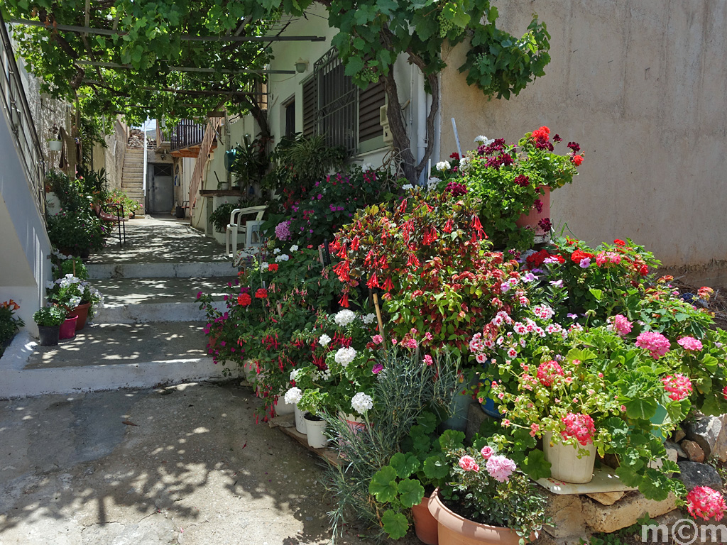 Crete Lassithi, Tourloti
