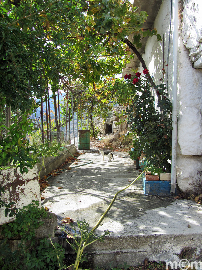 Crete Lassithi, Christos