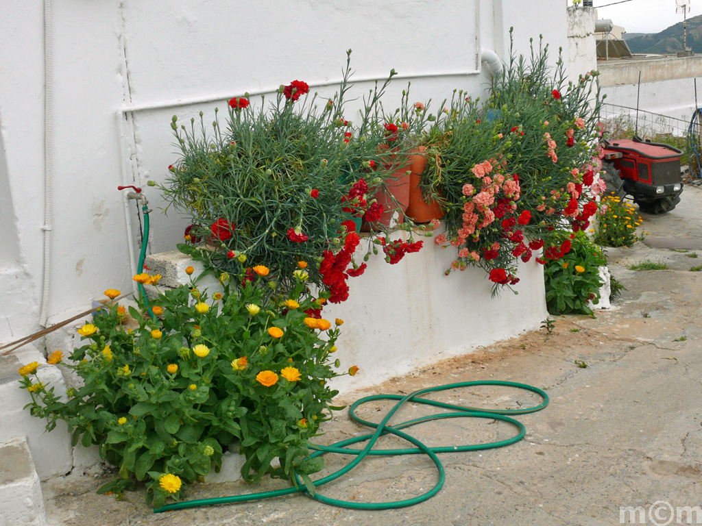 Crete Lassithi, Makrylia