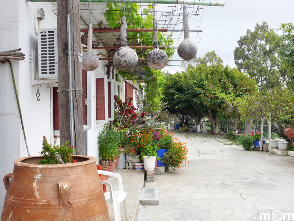 Crete Lassithi, Makrylia