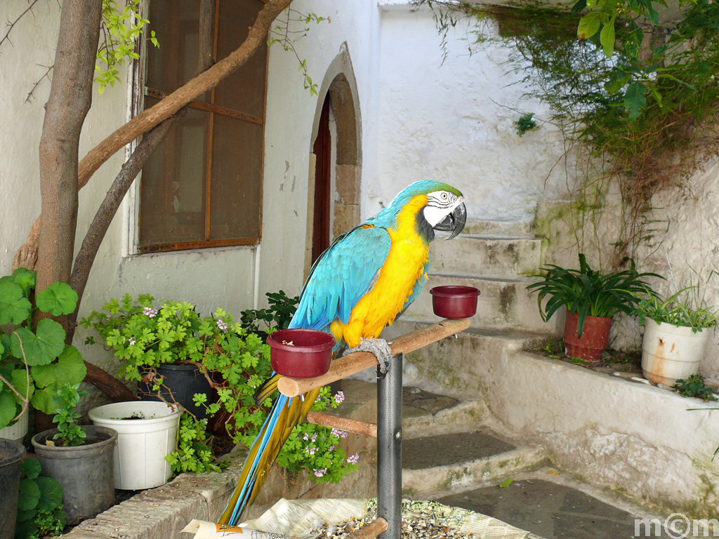 Crete Lassithi, monastery Faneromeni near Gournia