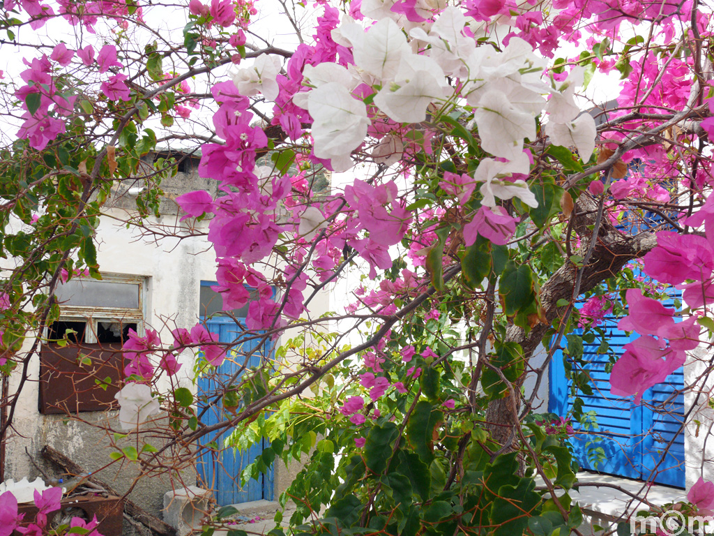 Crete Lassithi, Prina