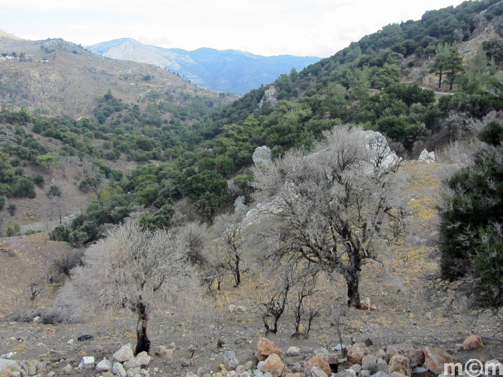 Crete Lassithi, Selakano
