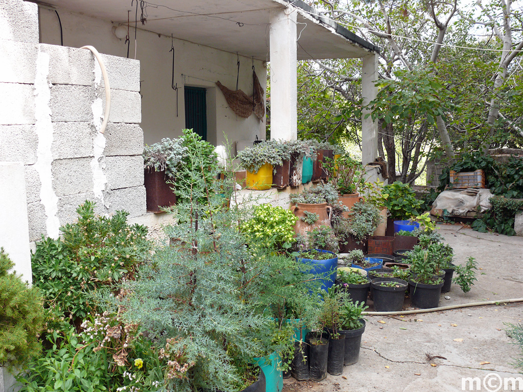 Crete Lassithi, Selakano