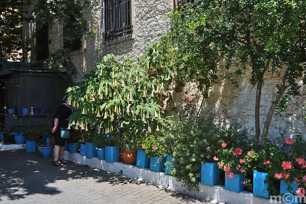 Crete Heraklion, Ano Viannos