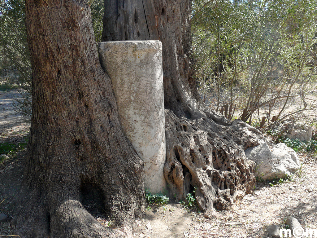 Crete Heraklion, Gortys ancient ag